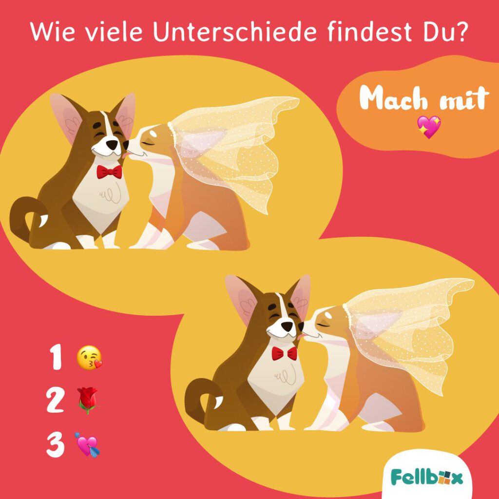 20-02-2024_Raetsel-Unterschiede