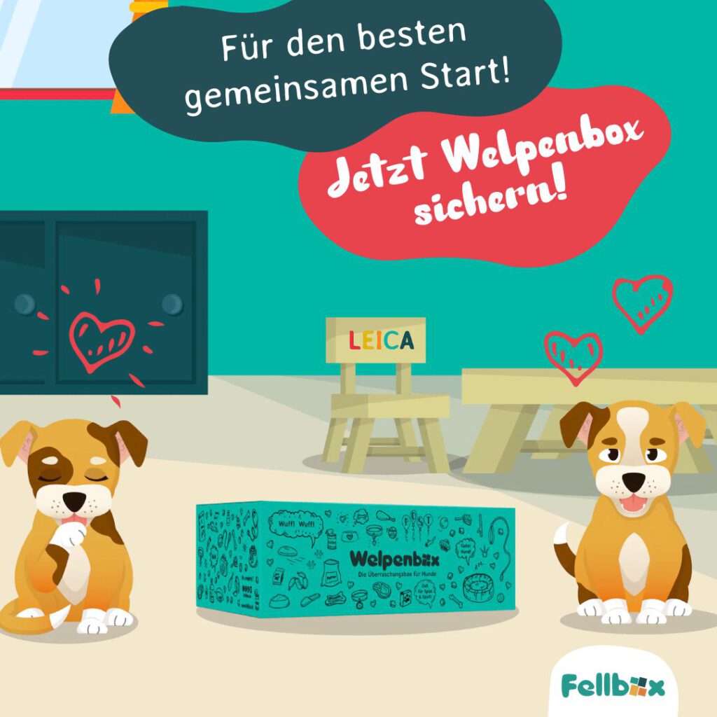 26-02-2024_Welpenbox