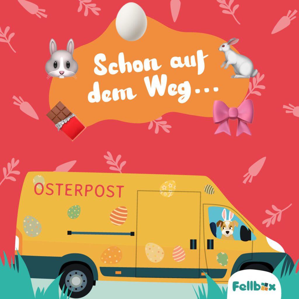 Zeichenfläche 1_16